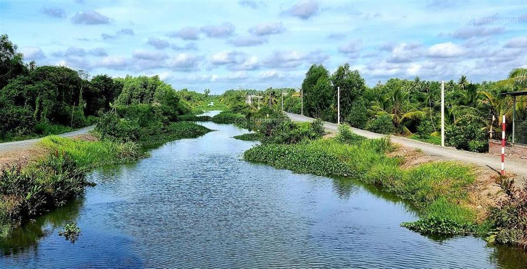 Bán 23.000m2 đất cln, bến lức, long an (cũ)  16.8 tỷ