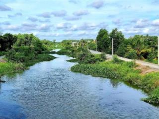 Bán 23.000m2 đất cln, bến lức, long an (cũ)  16.8 tỷ
