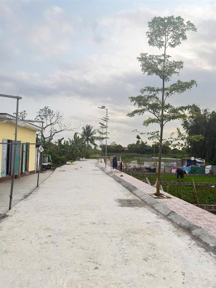 Siêu phẩm đại tràng cơ hội vàng cho nhà đầu tư dự án duy nhất tại đại tràng vị trí đẹp hiếm
