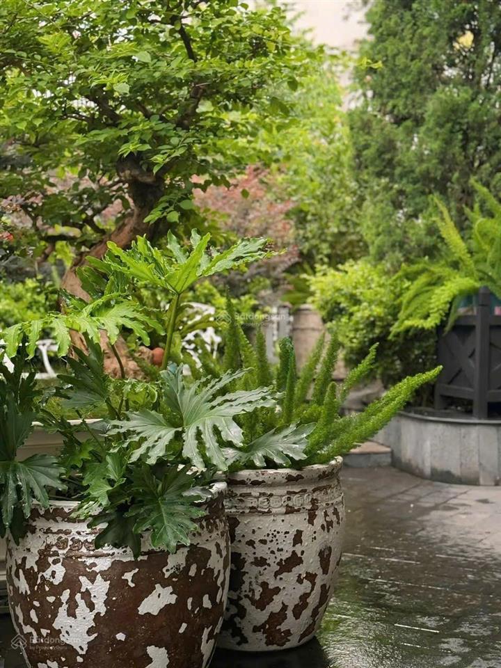 [ hot ] biệt thự 154m2 tại vinhomes thăng long an khánh  hoàn thiện đẹp, về ở ngay  giá hạt rẻ