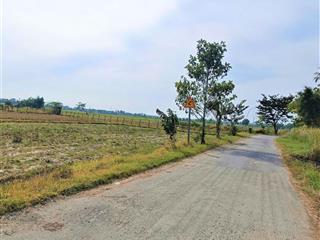 Bán gấp đất 7637m2 có 2420m2 thổ mặt tiền đường nguyễn thị náo, xã trung lập thượng giá 11.9 tỷ tl