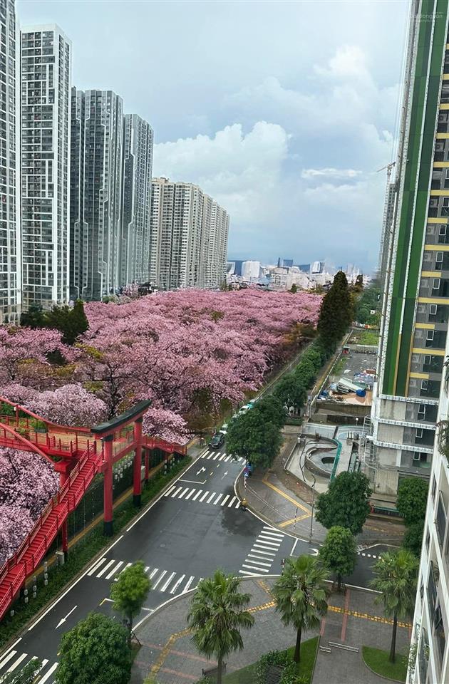 Cho thuê gấp shophouse 550m2 tại vinhomes smart city, 100 triệu, 5 tầng q.nam từ liêm, hn