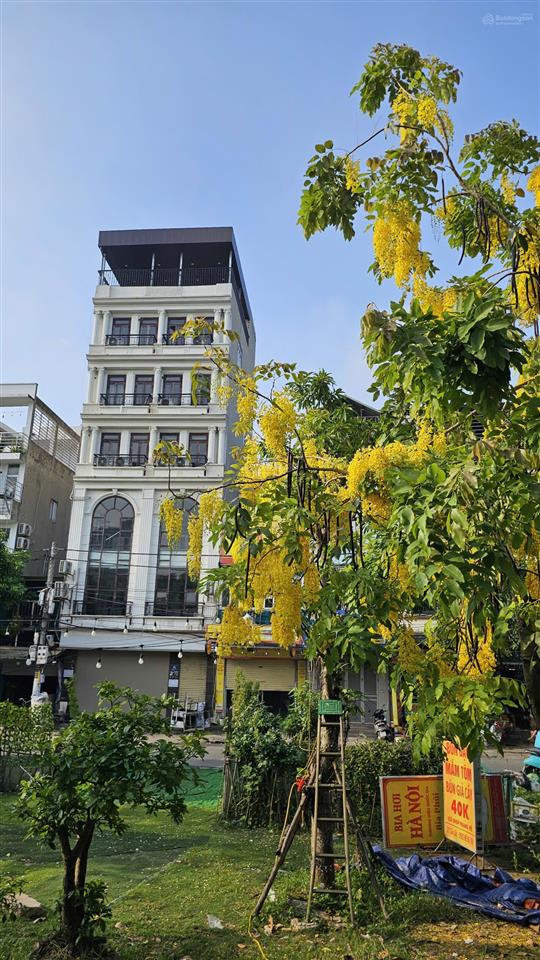 Nhà phố cầu cốc  tây mỗ  hà nội