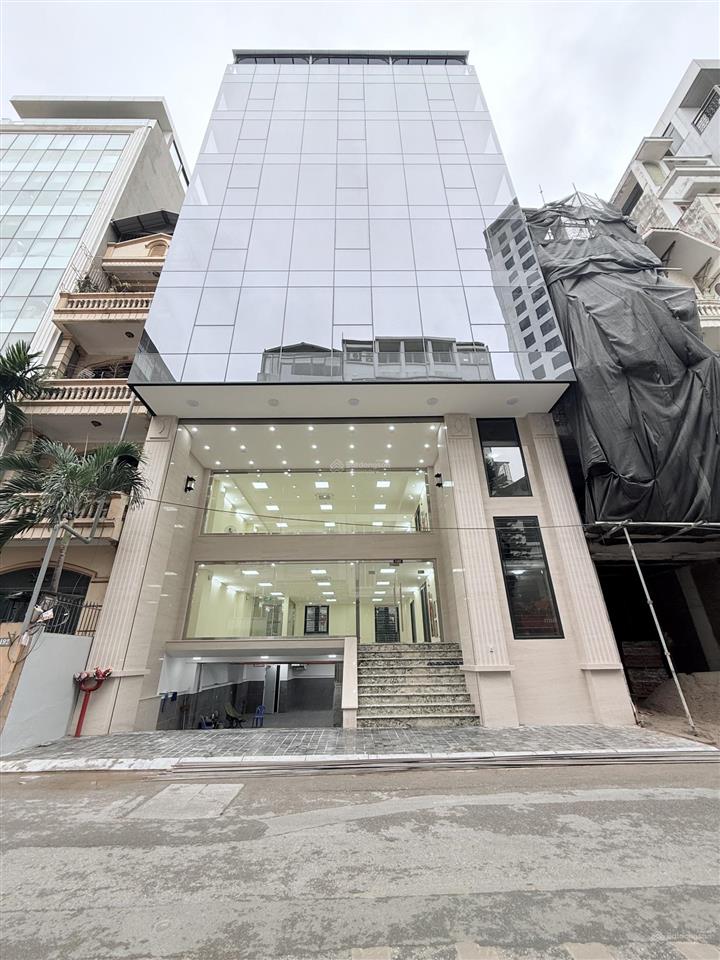 Cho thuê mp nguyễn thị định, 220m2, 10 tầng, mt 12m, thông sàn, thang máy, nhà mới