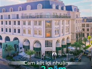Bán villa mặt biển nội thất 5* đầu tiên quảng bình  cơ hội mua giá tốt giỏ hàng năm 2026