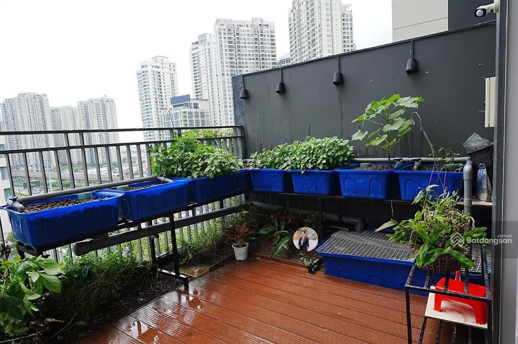 Video & ảnh thực | 4 phòng ngủ có sân vườn | view trực diện hồ bơi | dt 194m2 | giá 32,9 tỷ