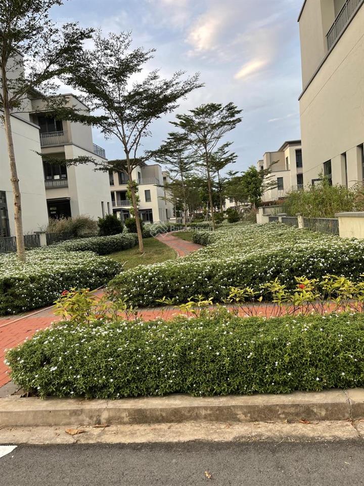 Big townhouse swan park 1a, dt 6,3x17m. call 0907 424 ***