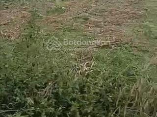Bán đất mặt tiền đường oto gần uỷ ban xã đăk wil