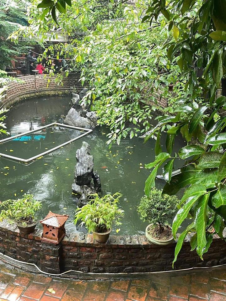 Cho thuê nhà nguyên căn ở trung tâm sầm uất khu vực thái thịnh đống đa