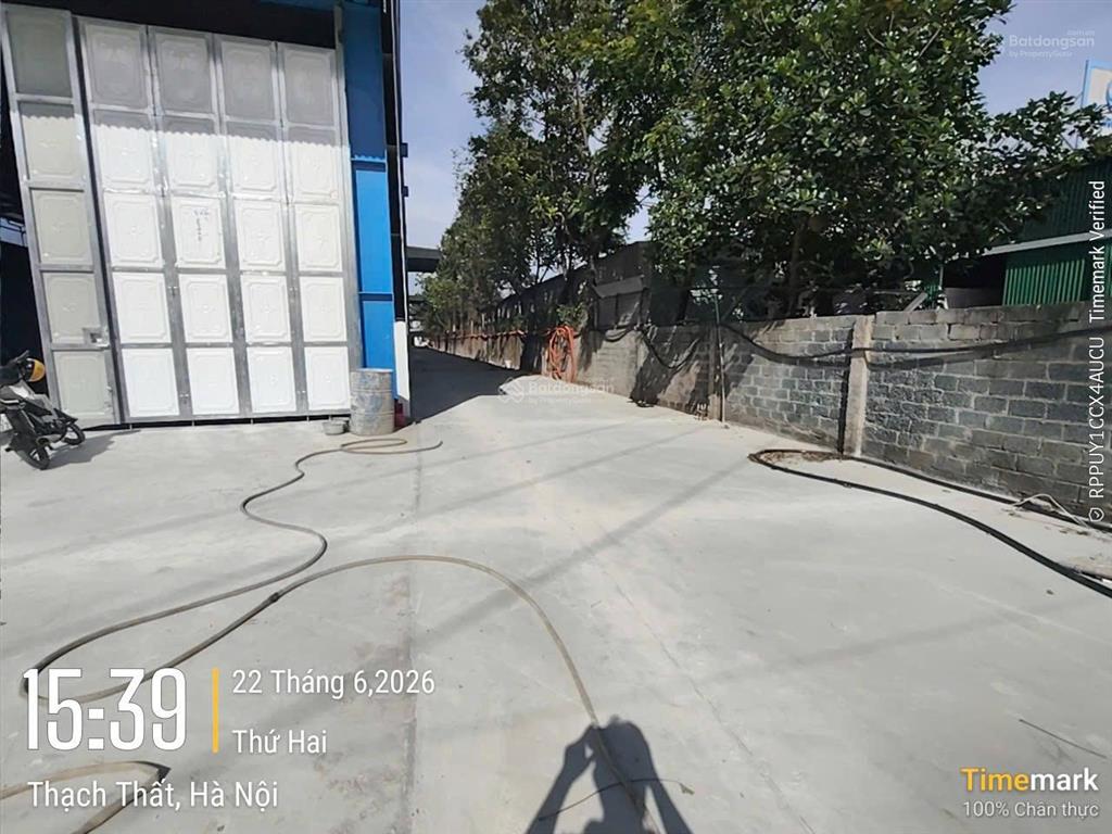 Cho thuê kho, xưởng tại kcn thạch thất. dt 5000m có cắt lẻ. khung zamil, pccc tự động, có vat