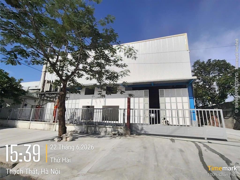 Cho thuê kho, xưởng tại kcn thạch thất. dt 5000m có cắt lẻ. khung zamil, pccc tự động, có vat