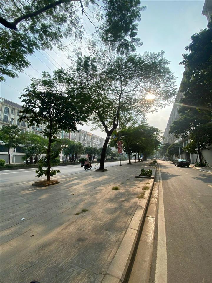 Tôi cho thuê nhà mặt phố tố hữu, him lam vạn phúc, 95m2 * 7t, thông sàn, giá 60tr,  0968 120 ***