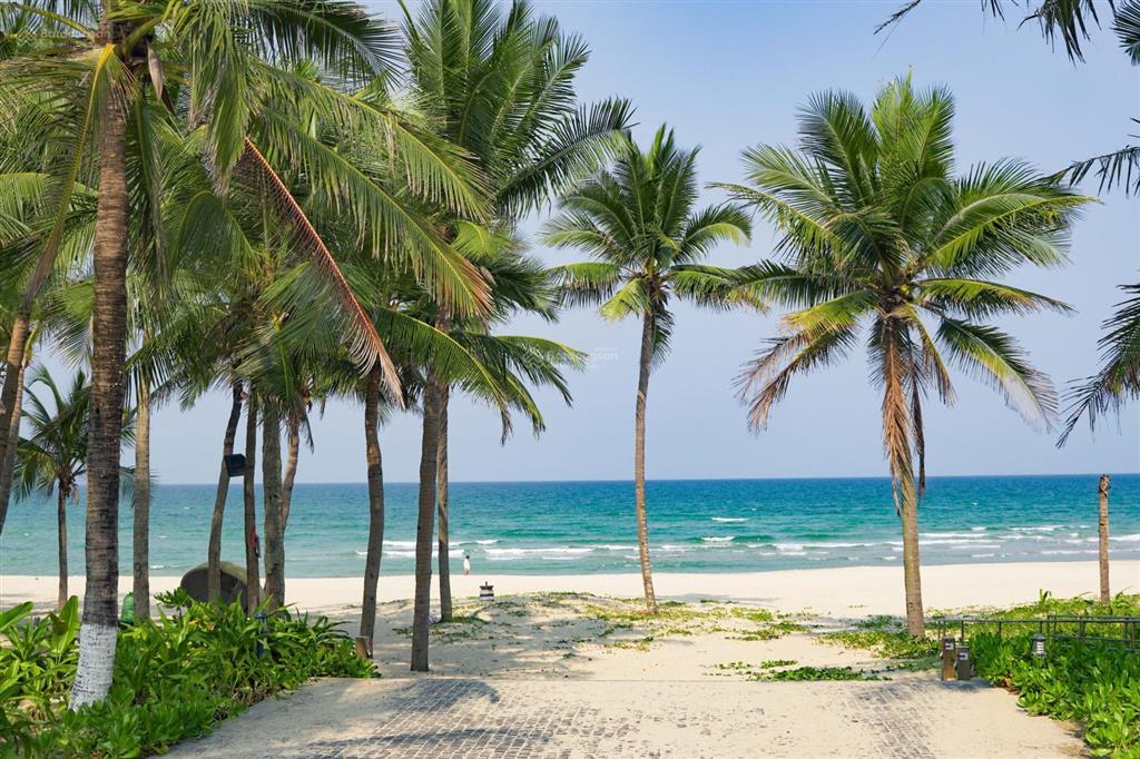 Cc 82m2  tầng 24 panorama  view biển mỹ khê cực phẩm  sổ đỏ vĩnh viễn, an tâm sở hữu