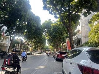 (hiếm) bán nhà mặt phố hoàn kiếm  phường phan chu trinh, giáp trần hưng đạo 360m2, 200 tỷ