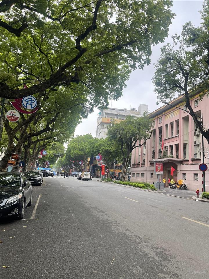 (hiếm) bán nhà mặt phố hoàn kiếm  phường phan chu trinh, giáp trần hưng đạo 360m2, 200 tỷ