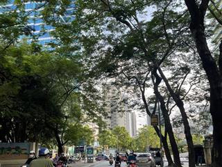 (hiếm) chuyển nhượng cổ phần doanh nghiệp (trường mầm non) ở phường vĩnh hưng hoàng mai, 35 tỷ