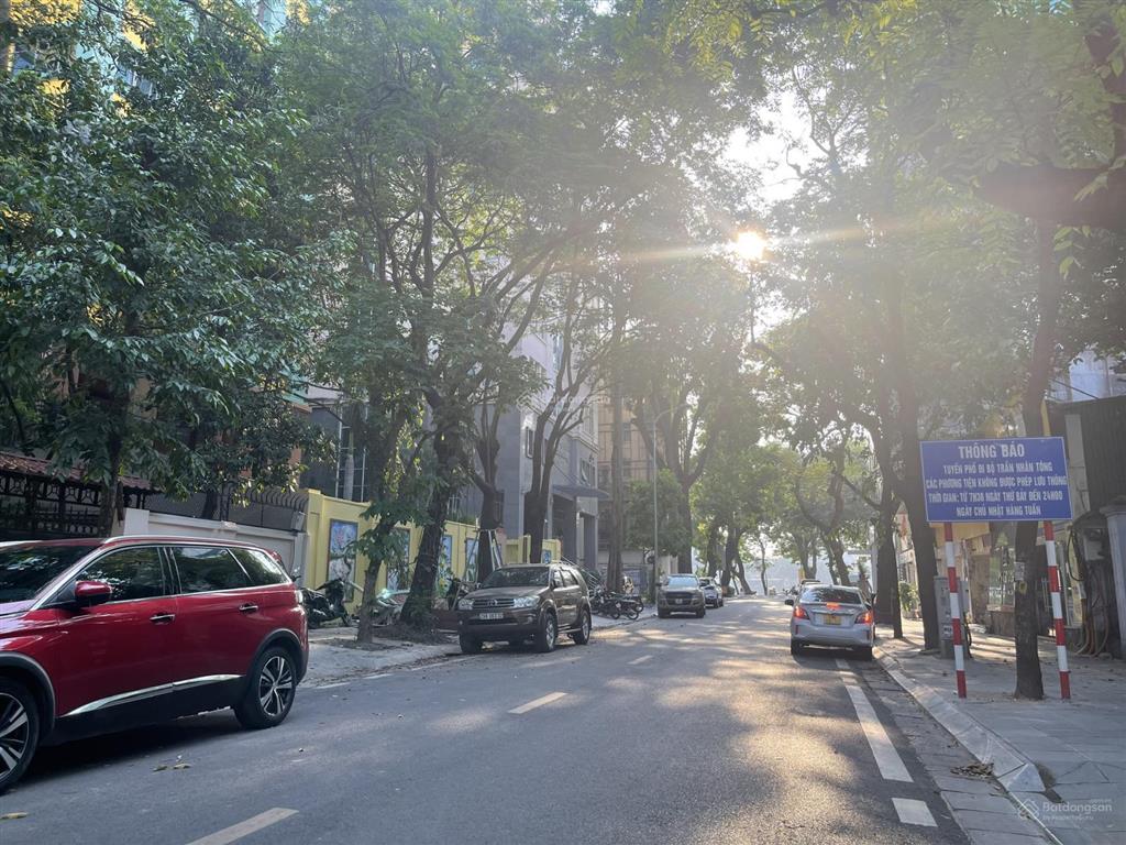 Bán biệt thự mặt phố phường hai bà trưng phường nguyễn du (cũ), gần phường phố huế (cũ), 262m²