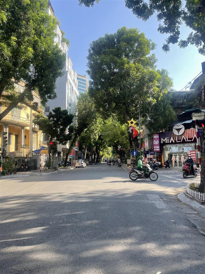 Bán biệt thự mặt phố phường hai bà trưng phường nguyễn du (cũ), gần phường phố huế (cũ), 262m²