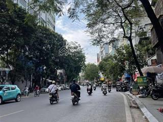 (hiếm) bán nhà kinh doanh mặt phố trần đại nghĩa bách khoa  hai bà trưng, lô góc, 80m2, 52 tỷ