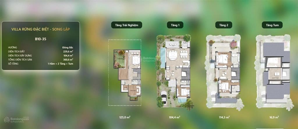 Biệt thự rừng có hầm suối hoa, chỉ thanh toán 2,06 tỷ