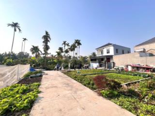 980 triệu sở hữu đất lâm động, thuỷ nguyên đẹp không tỳ vết sát trục chính cực kỳ đẹp