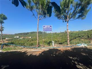 Bán lô đất mặt tiền đường nhựa xã lộc ngãi, huyện bảo lâm, tỉnh lâm đồng, dt 1.224m2