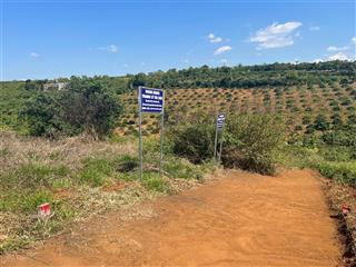 Ngân hàng thanh lý bđs tại xã lộc an, huyện bảo lâm, tỉnh lâm đồng  611