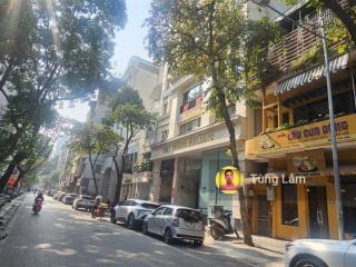 Bán nhà 90 triệu việt vương + bùi thị xuân. 223m2x11t có hầm, ngang 7.7m, giá 198 tỷ