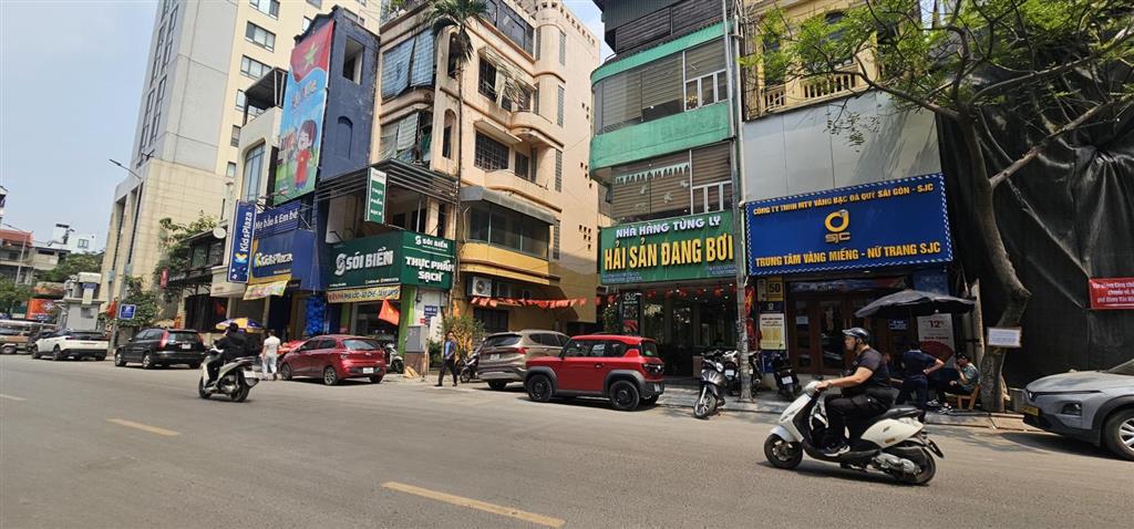 Biệt thự mặt ngõ 52 giang văn minh. dt 121m2  mt 11m  77 tỷ