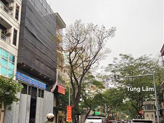 Bán nhà 55 + 57 tuệ tĩnh. dt 204m2 x9t (đang xây t6), giá 1.1 tỷ/m2