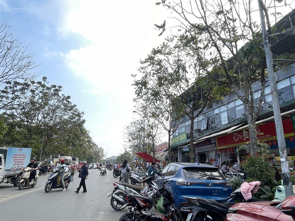 Chính chủ bán đất việt hưng 65m2, mt 5m, hai thoáng, cạnh trường học, chợ công viên  nhỉnh 10 tỷ
