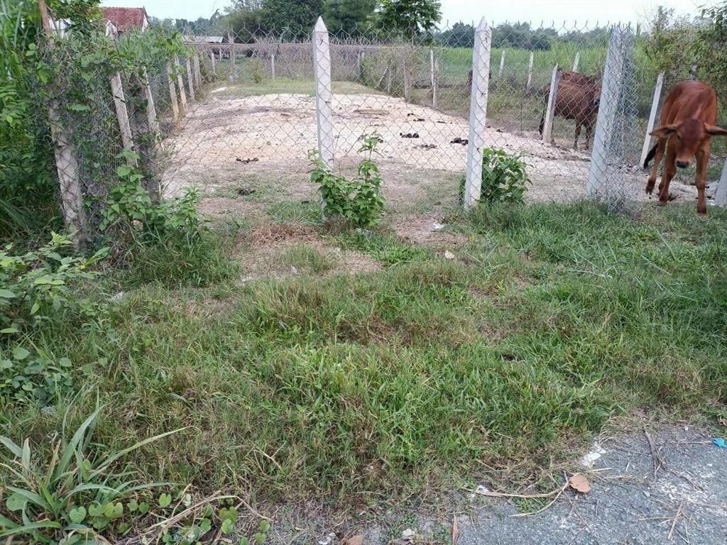Đất thật giá thật 100% không ảo(dt7x24m)giá nhỉnh 1ty.xã thái mỹ .0909 362 *** gặp thảo nắm rõ hơn