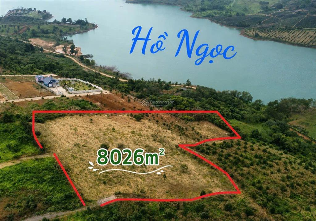 Chính chủ cần bán nhanh  điều chỉnh giá tốt, dt 8.026m, đất view hồ ngọc p2 bảo lộc