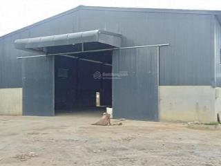 800m2 kho xưởng khu vực mai lâm cần cho thuê, container đỗ, giá 70 nghìn/m2/th