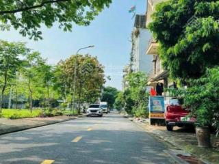 Bán gấp siểu phẩm 181m phường việt hưng, ô tô tránh, phù hợp đầu tư phân lô hoặc xây biệt thự