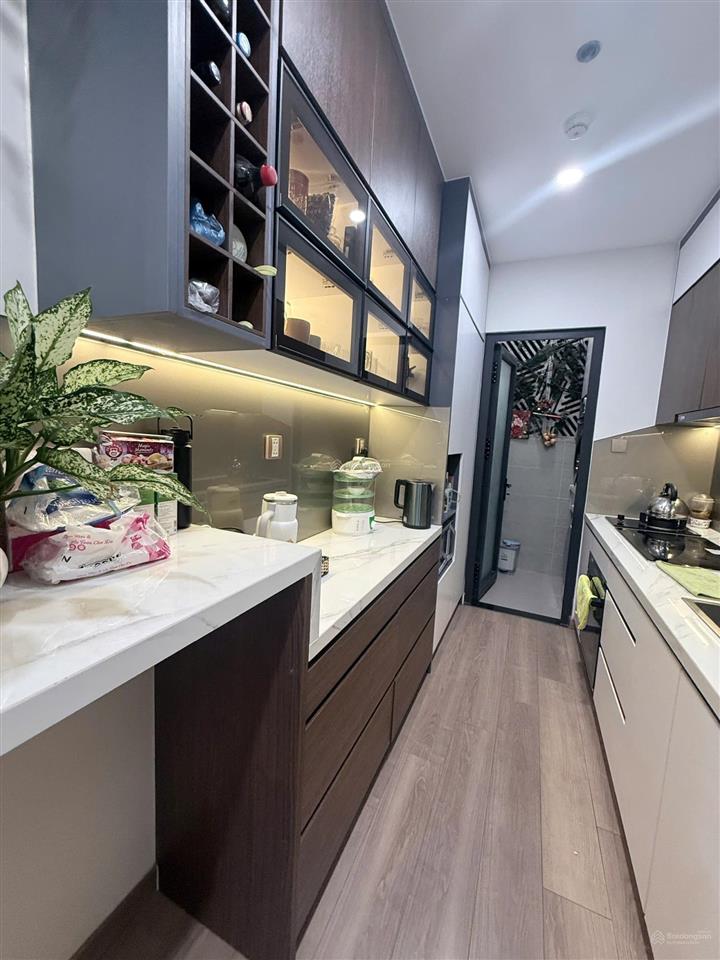 Cho thuê park view 152 điện biên phủ giá 20 triệu 2 pn  2wc full nội thất cao cấp