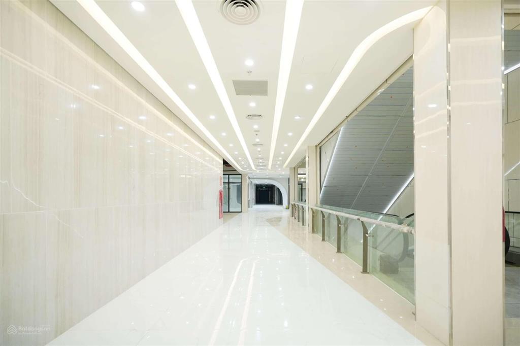 Cho thuê 80m2 văn phòng tại trúc bạch, tây hồ, 339.378 đ/tháng/m2 gồm thuế phí dịch vụ