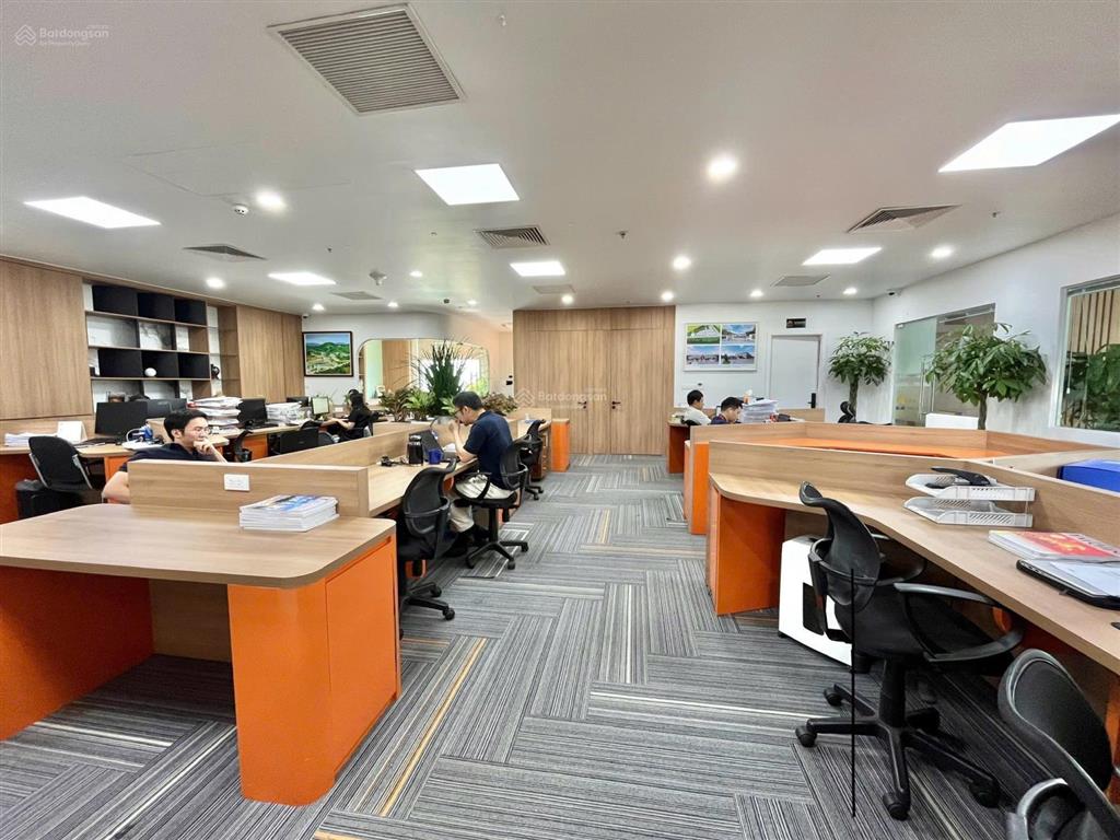 Cho thuê văn phòng 60m2 có tại phường cát linh, đống đa, hà nội, giá cực chất chỉ với 450k / m2