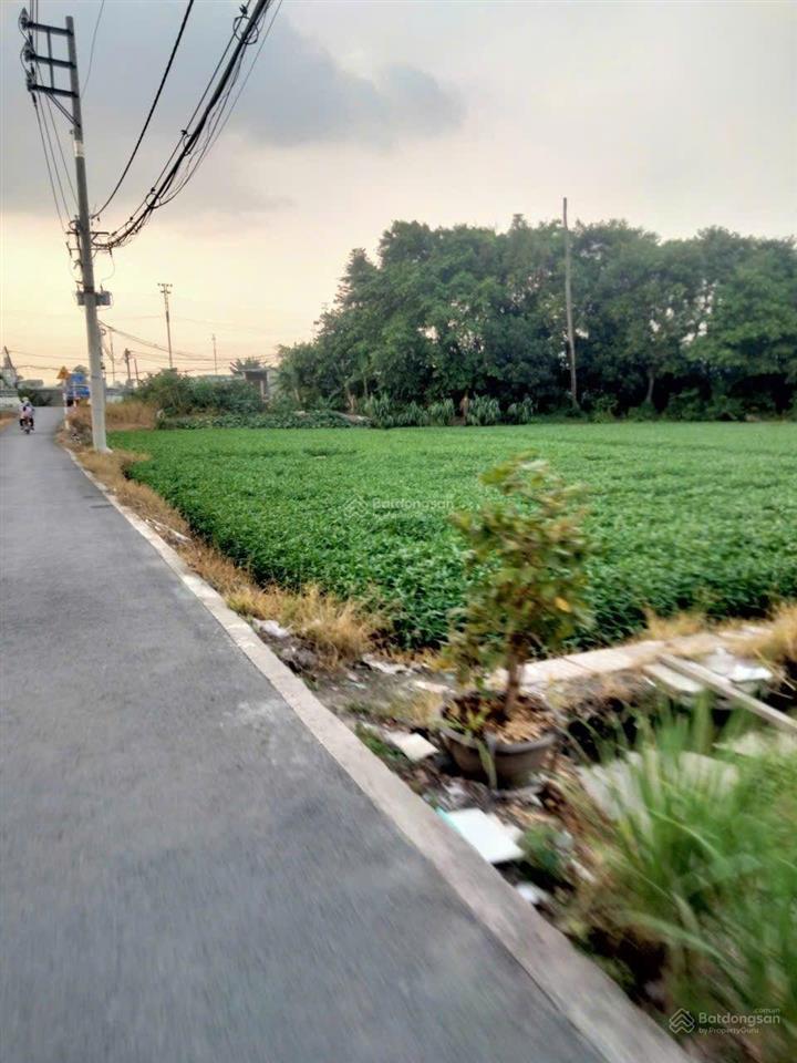 Nhà vườn 500m2 quận 12 quỹ đất rộng hiếm, tiềm năng sinh lời cao giá chỉ 3,8 tỷ