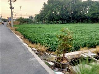 Nhà vườn 500m2 quận 12 quỹ đất rộng hiếm, tiềm năng sinh lời cao giá chỉ 3,8 tỷ