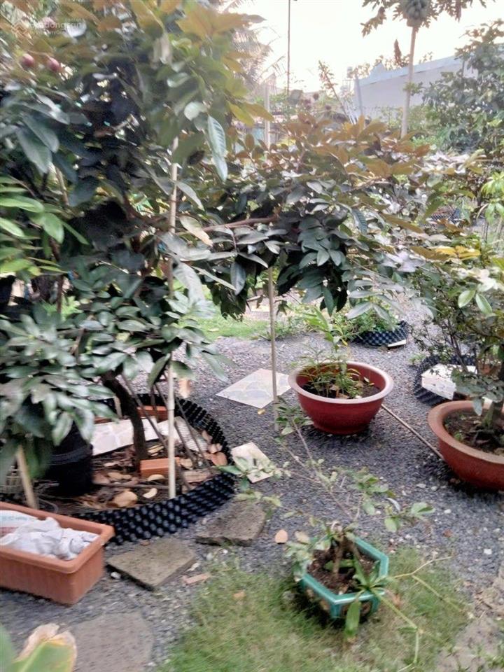 Bán nhà sân vườn xanh 505m2 hiếm phường thạnh xuân, quận 12. giá chỉ 11,8 tỷ