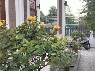 Bán nhà sân vườn xanh 505m2 hiếm phường thạnh xuân, quận 12. giá chỉ 11,8 tỷ