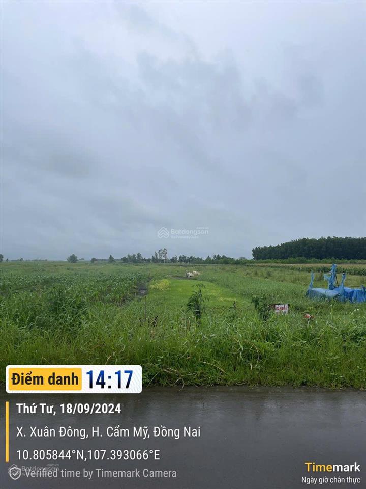 Bán đất 7159 m, ngang 30m, xuân đông, cẩm mỹ, đồng nai