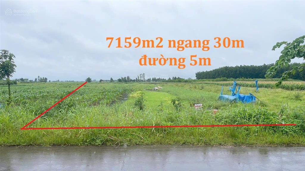 Bán đất 7159 m, ngang 30m, xuân đông, cẩm mỹ, đồng nai