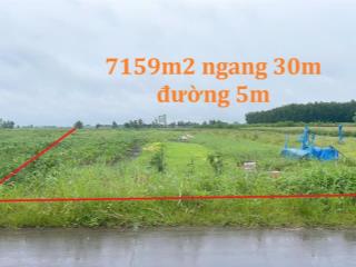 Bán đất 7159 m, ngang 30m, xuân đông, cẩm mỹ, đồng nai