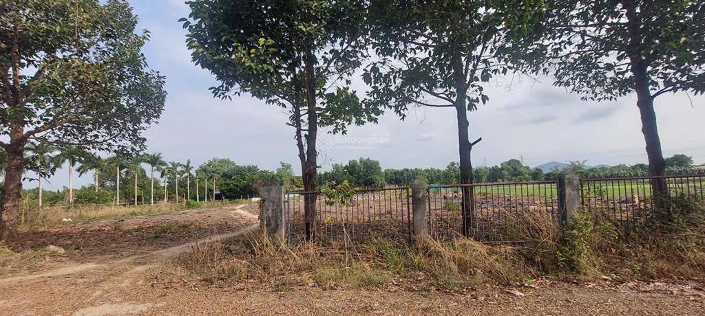 Bán đất đẹp gần quốc lộ 51, 18,5 tỷ, 4466 m2