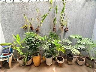 Nhà cực đẹp đường nhựa, sát đặng văn bi, 4 tầng btct có thiết kế, chủ tâm huyết bán để về quê vội!