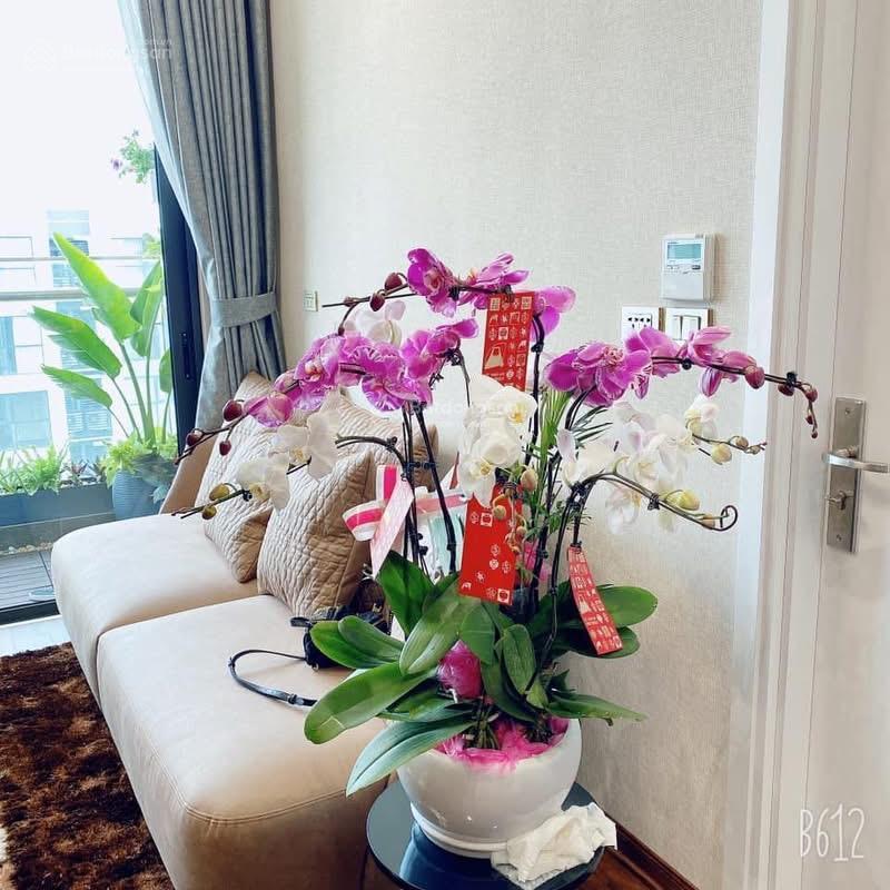 Cho thuê căn hộ 65m2  2pn2vs đã ghép thông hoàn thiện đẹp chỉnh chu giá 15 triệu.  0944 401 ***