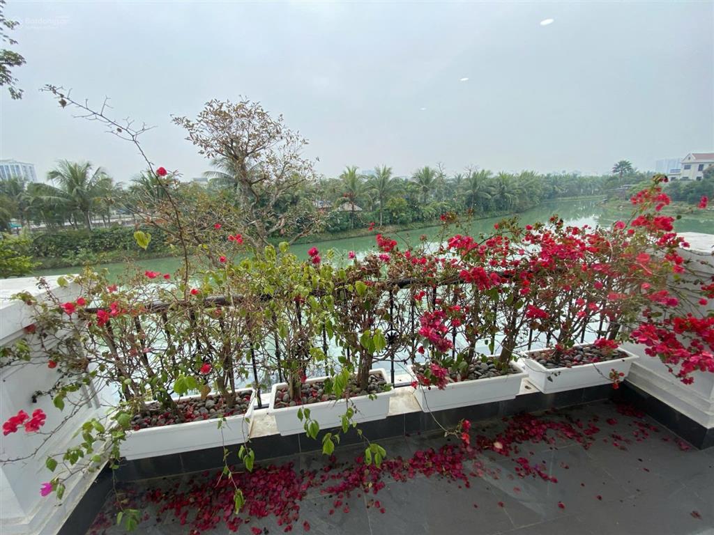Cho thuê bt bằng lăng 550m2 vinhomes riverside, giá 80tr/tháng nhà mới hoàn thiện.  0944 401 ***