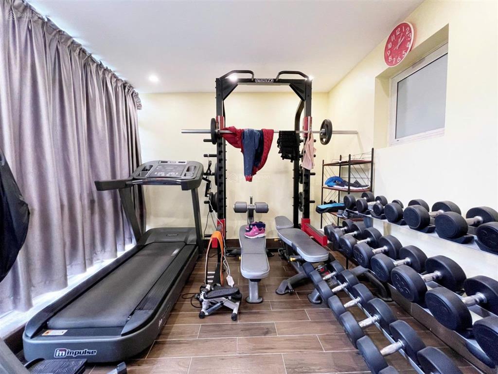 Cho thuê bt song lập hoa sữa 250m2, giá 46trieu, đường to, sông rộng, đủ nội thất. 0944 401 ***
